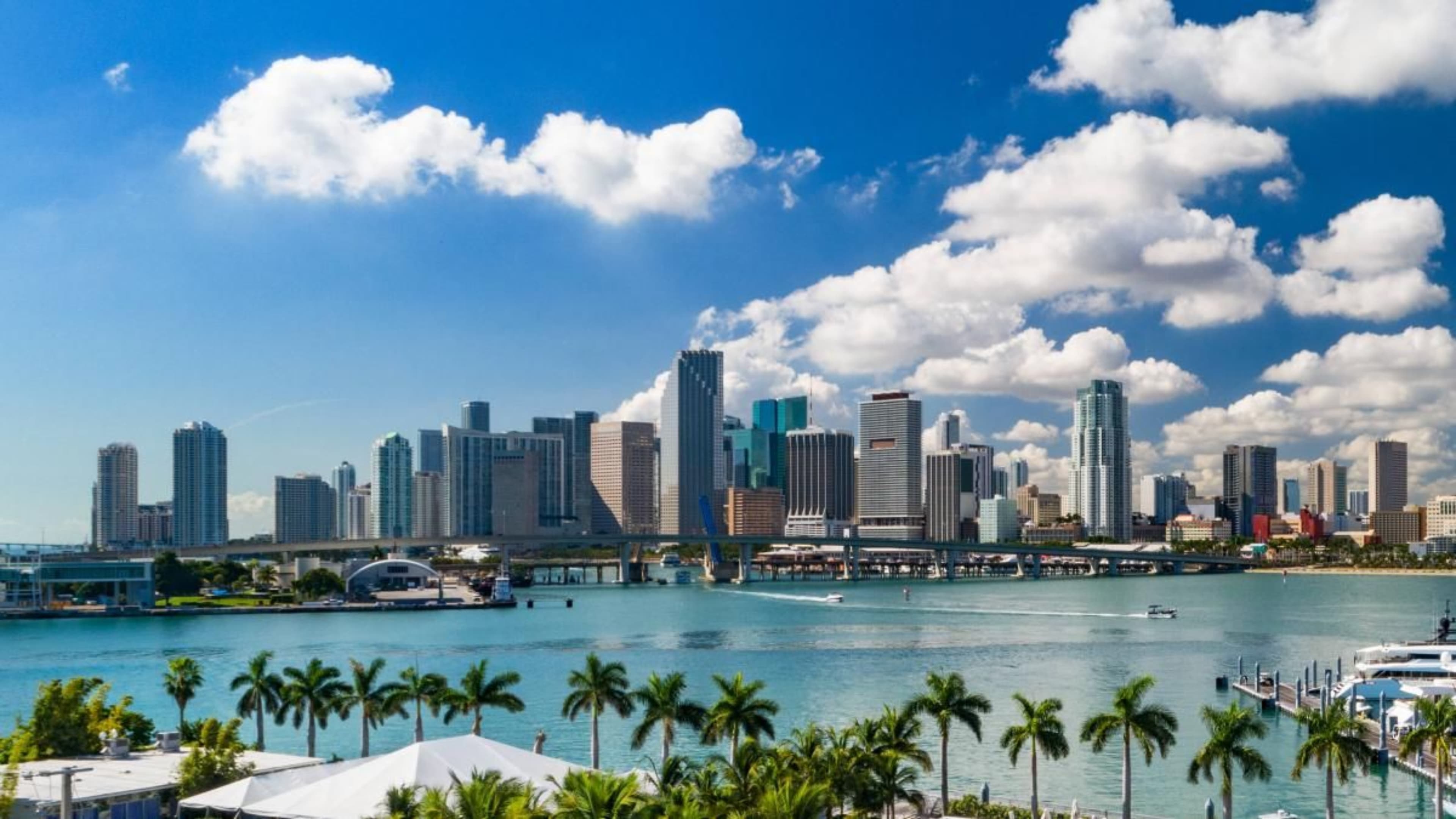 Ocean Drive de noche con luces de neón y palmeras, Miami — paquete 7 noches todo incluido desde Chile